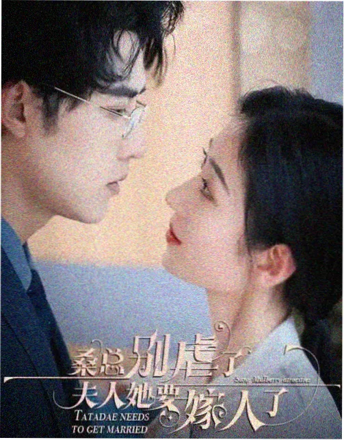 长镜头里的母亲 修复版海报